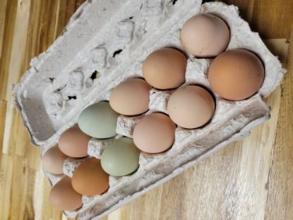 Picture of Fresh Eggs (12)