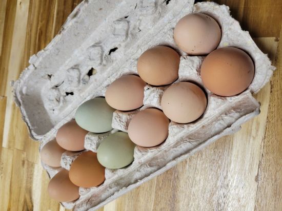 Picture of Fresh Eggs (12)