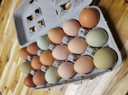 Picture of Fresh Eggs (18)